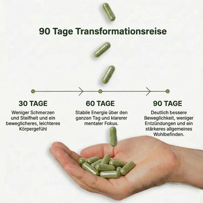 Nutrilabs – Moringa 800mg